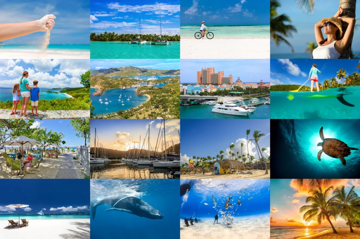 The Caribbean